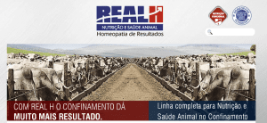 site_textos_320699312