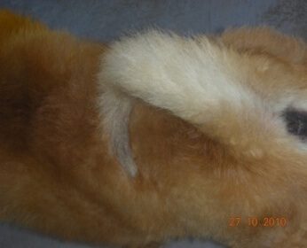 DSCN2855.JPG