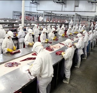 NOTÍCIAS DO AGRONEGÓCIO: MINISTÉRIO CENTRALIZA FISCALIZAÇÃO DE FRIGORÍFICOS