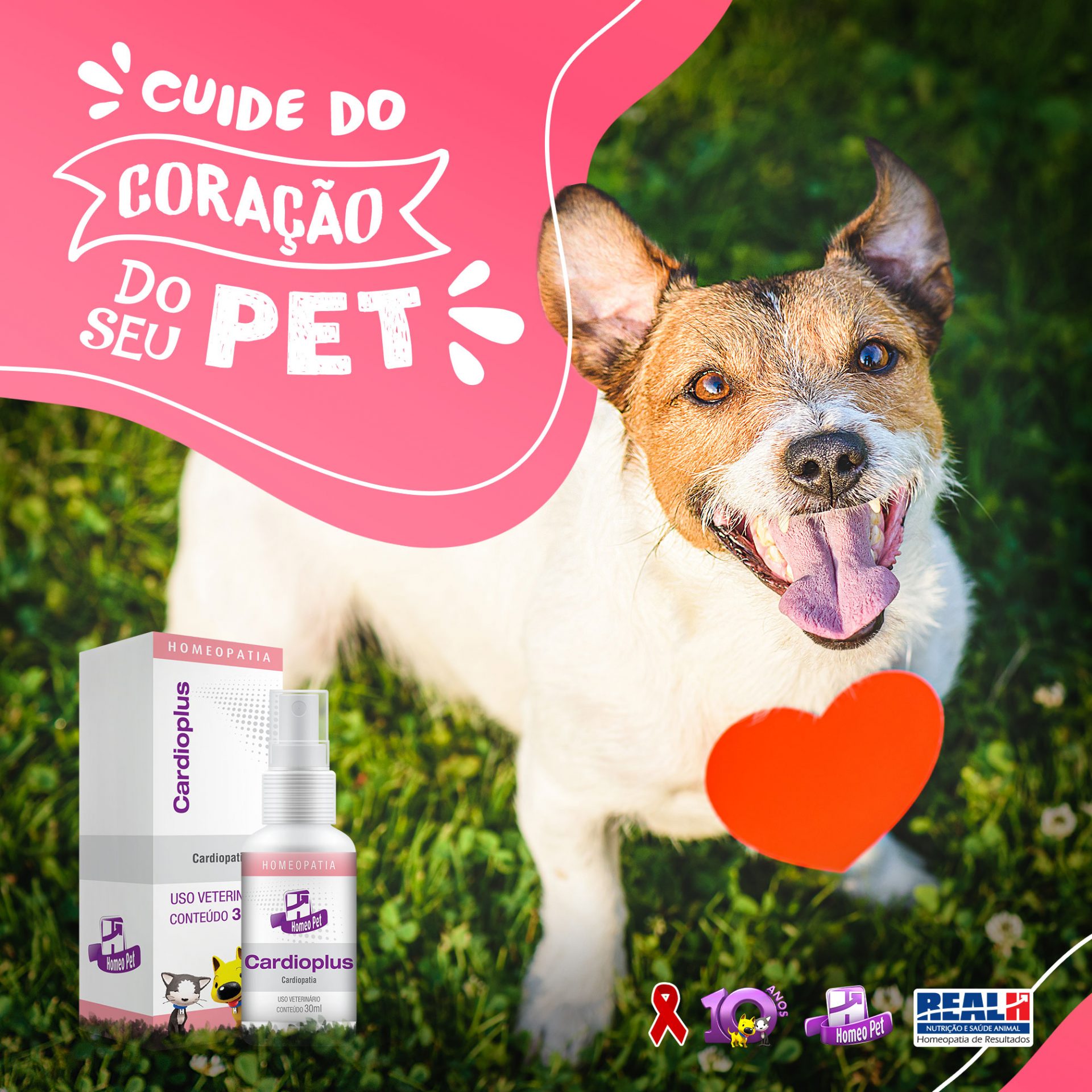 Evite Problemas de Coração no Seu Pet