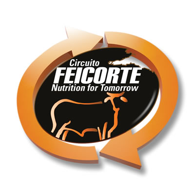 Circuito Feicorte Campo Grande 2013