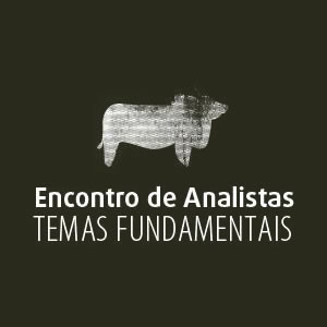 Encontro de Analistas