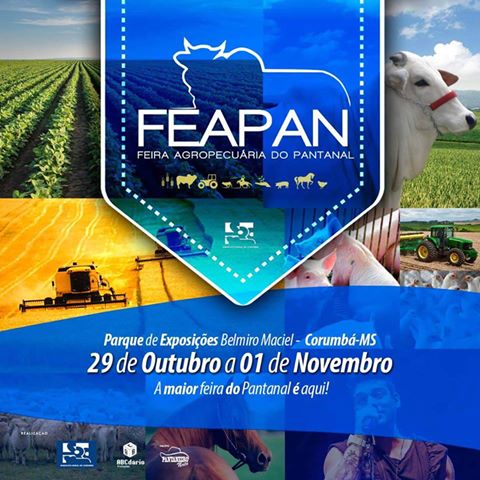 Feapan 2015