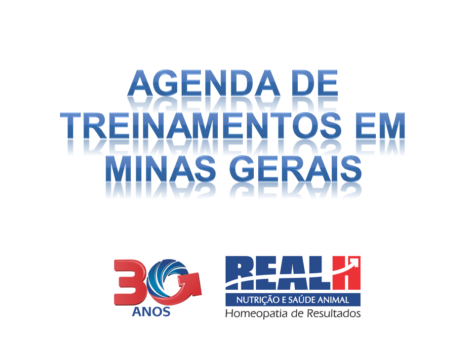 Treinamento MG