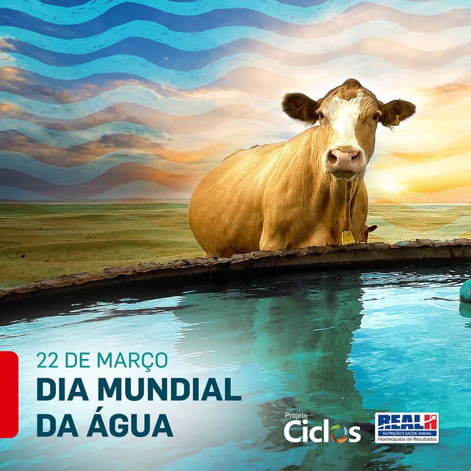Real H Investe no Consumo Consciente da Água