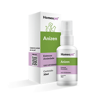 Anizen