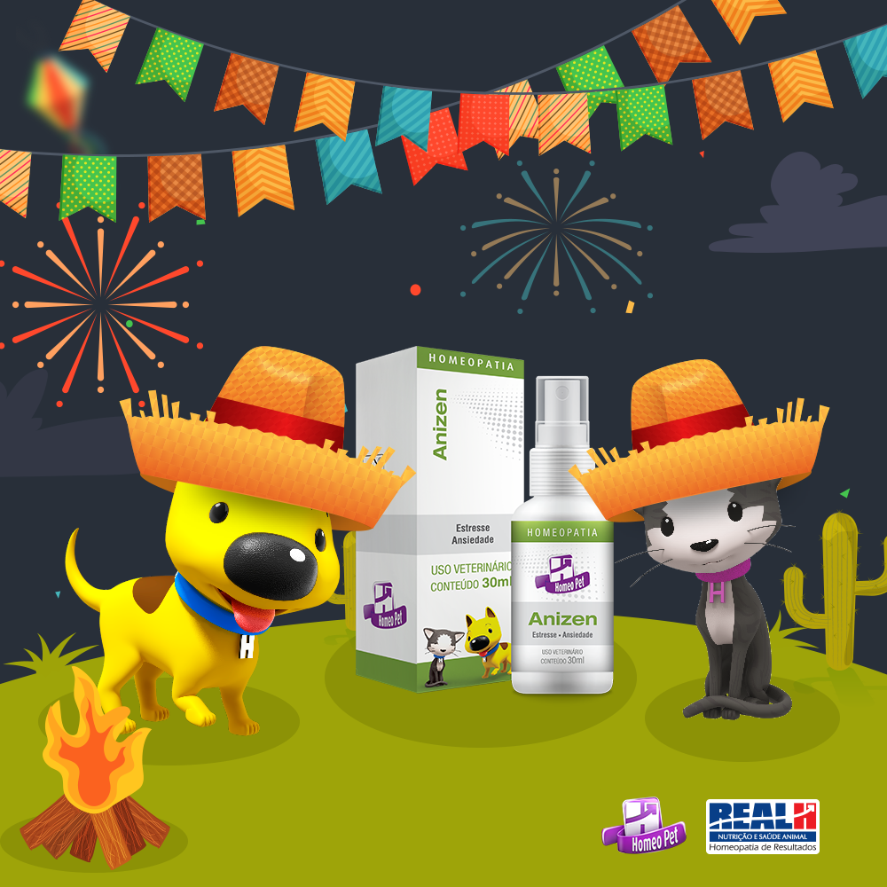 Real H Prepara “Arraiá” Virtual Para a Linha Home Pet