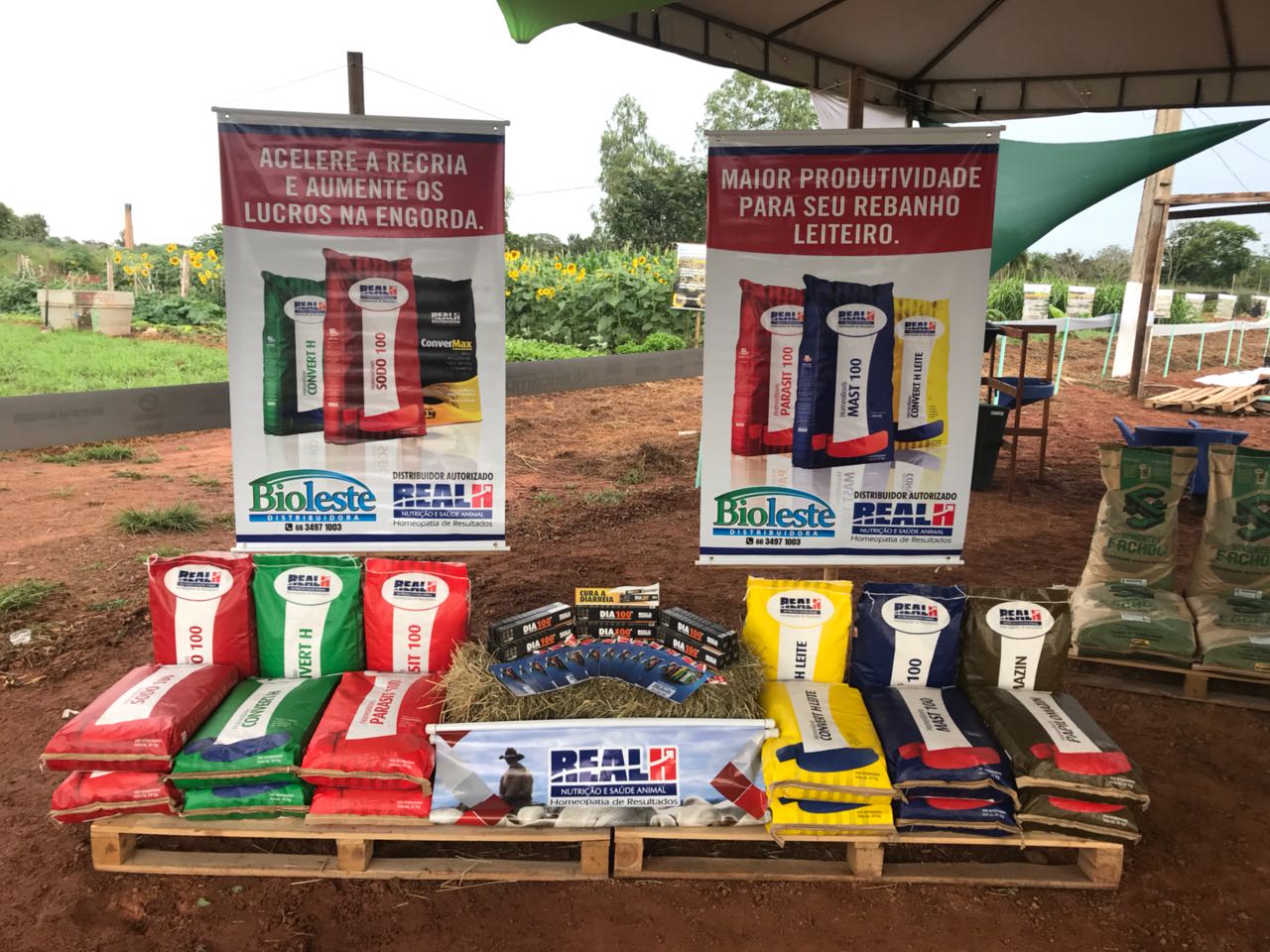 REAL H PARTICIPA DA AGROTEC SHOW, EM BARRA DO GARÇAS