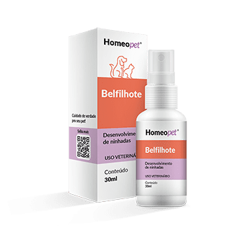Belfilhote