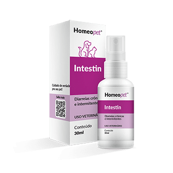 Intestin