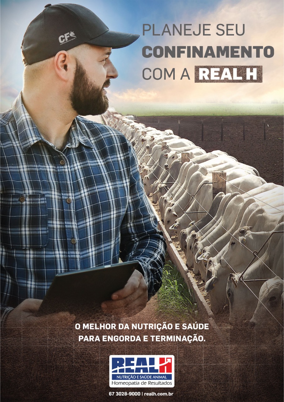 8 Aspectos Imprescindíveis Para um Confinamento de Sucesso