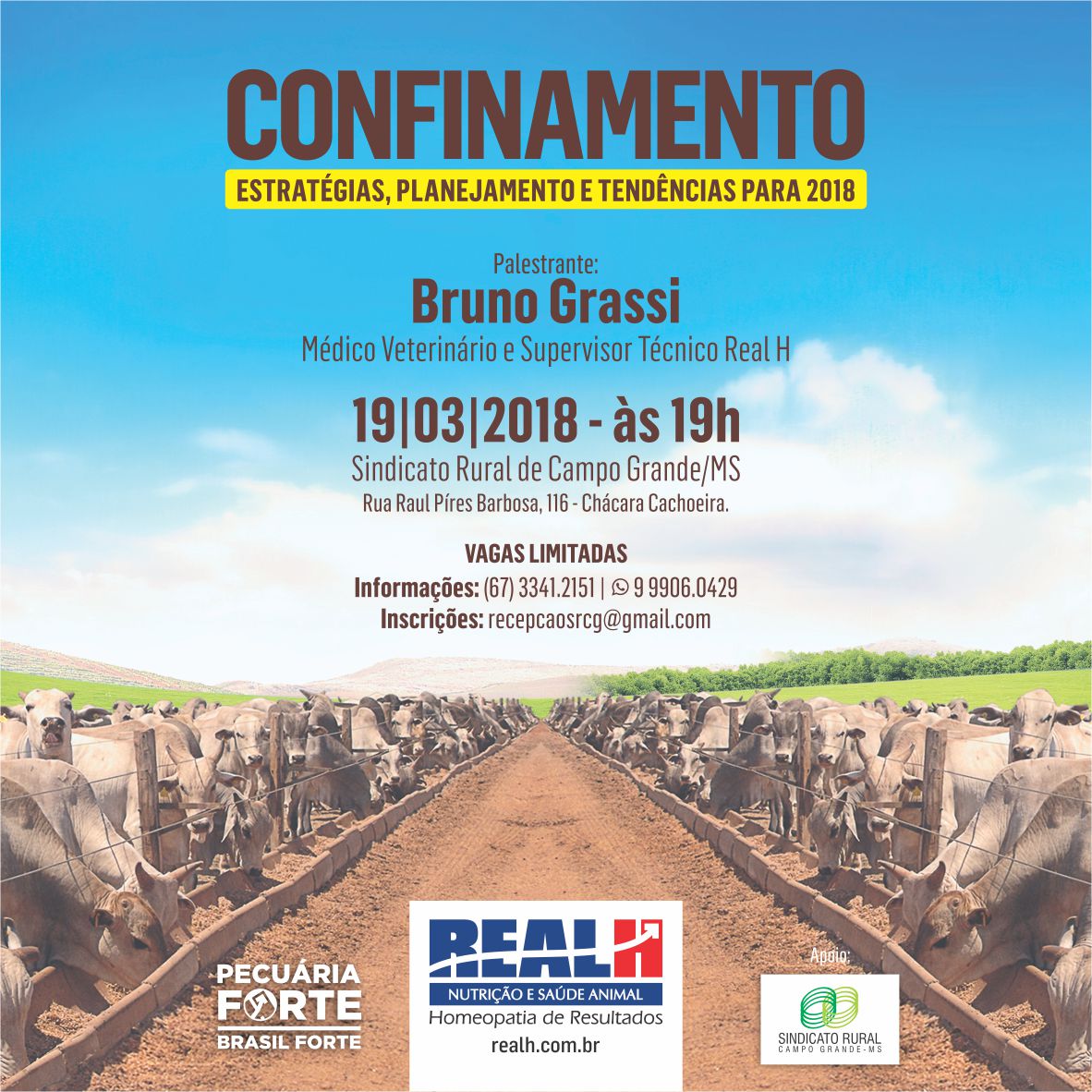 REJAN – CONFINAMENTO