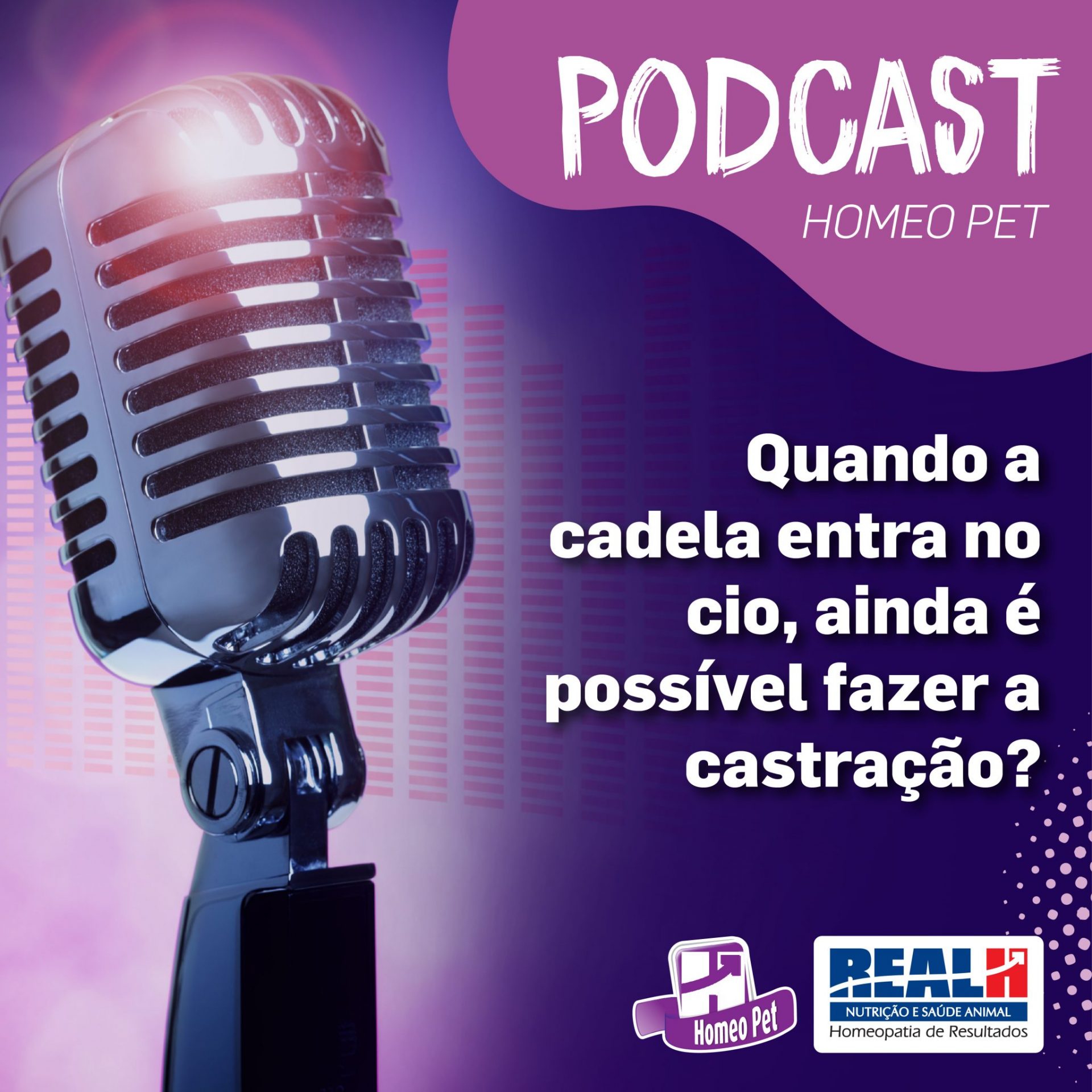 PODCAST: Quando a cadela entra no cio, ainda é possível fazer a castração?