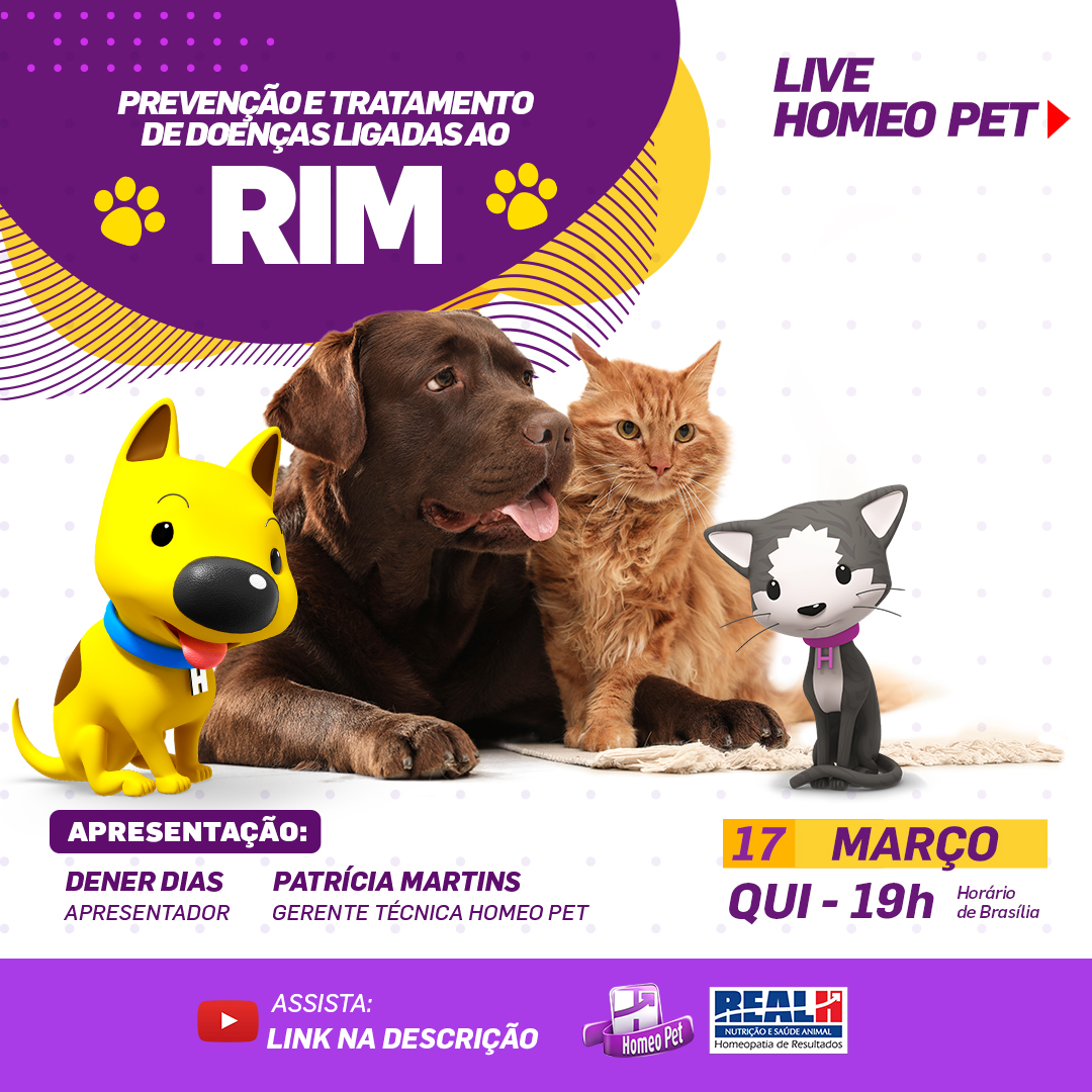 MARÇO AMARELO: Real H apresenta live sobre doenças do rim nesta quinta