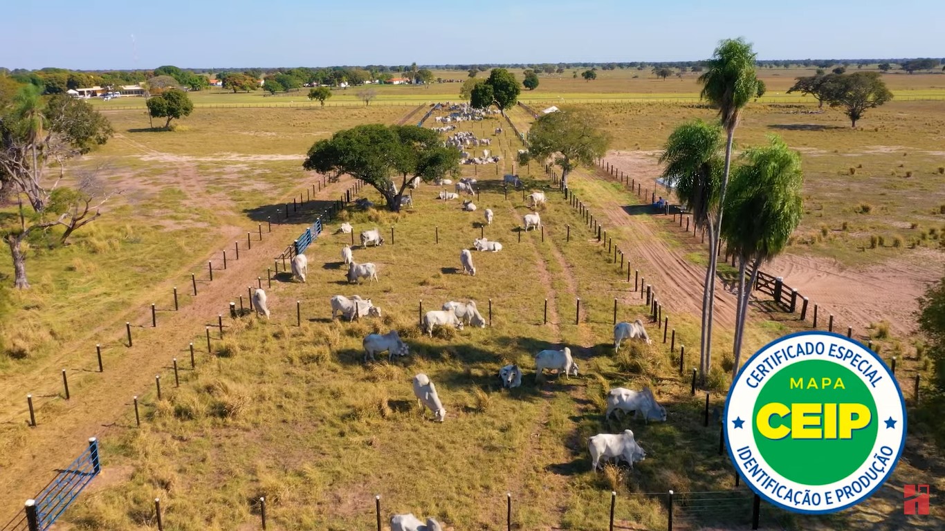 Os ótimos resultados da tecnologia Real H na Agropecuária Jacarezinho