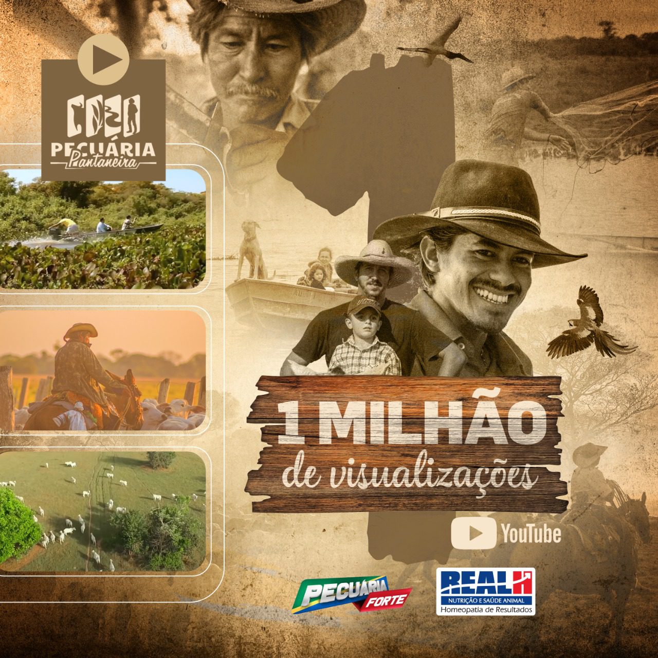Pecuária Pantaneira Ultrapassa 1 Milhão de Visualizações no Youtube