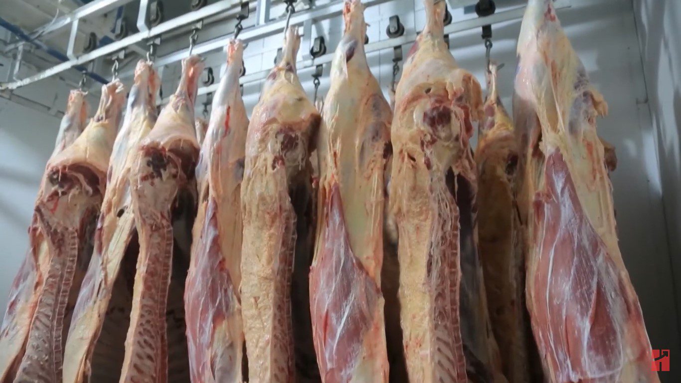 Exportação Cresceu 33%