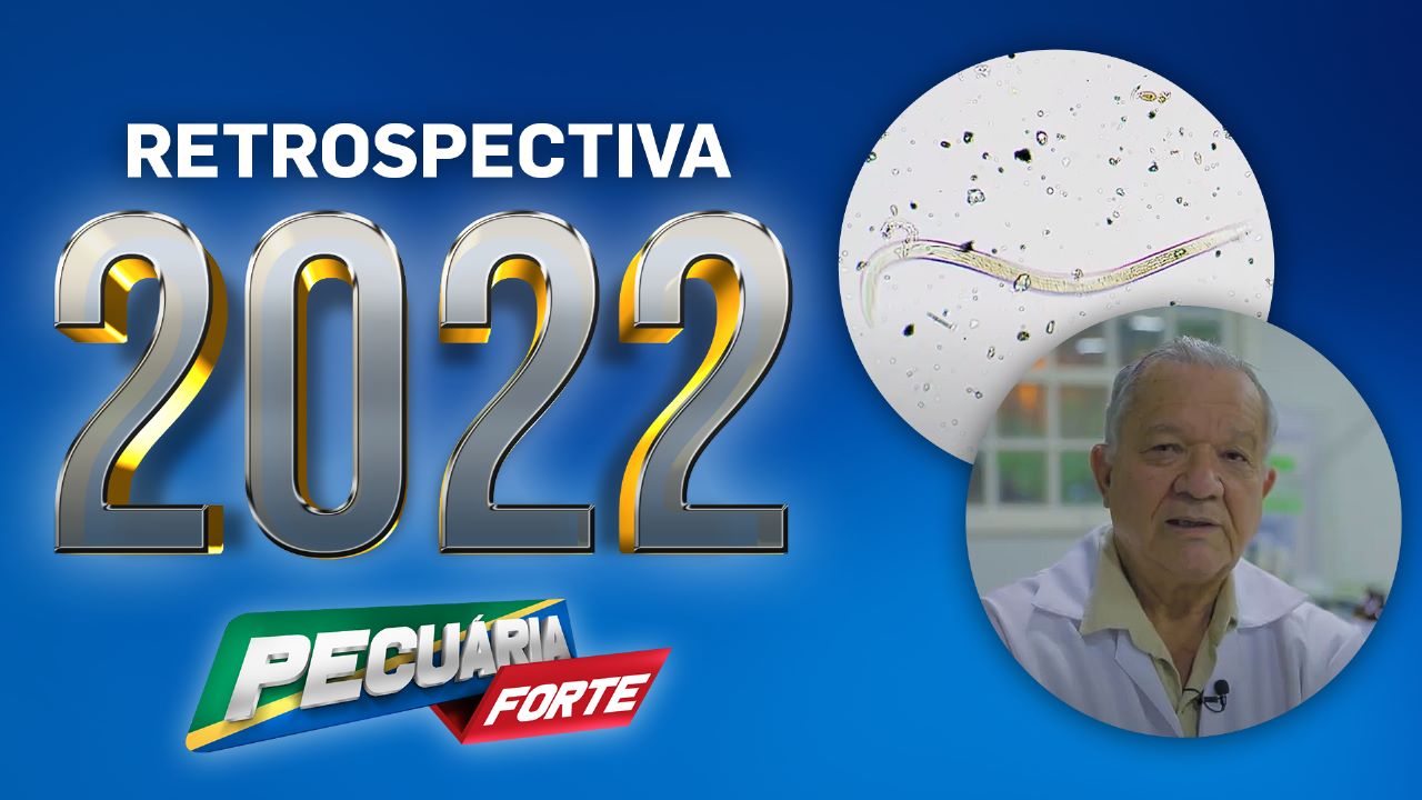Retrospectiva 2022 Pecuária Forte