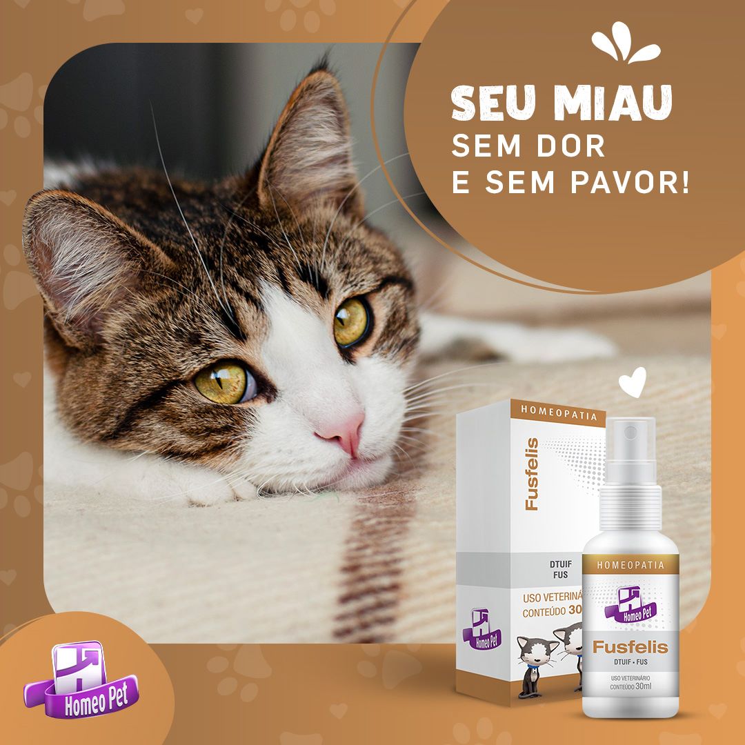 Desobstrução Urinária Gatinho