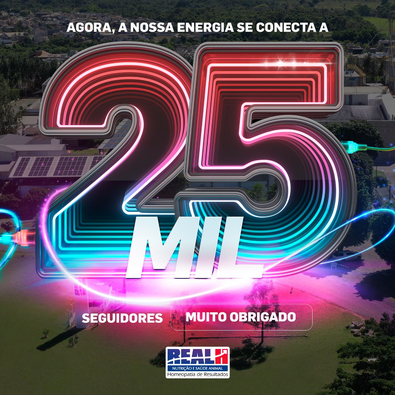 Instagram Real H 25 Mil Seguidores
