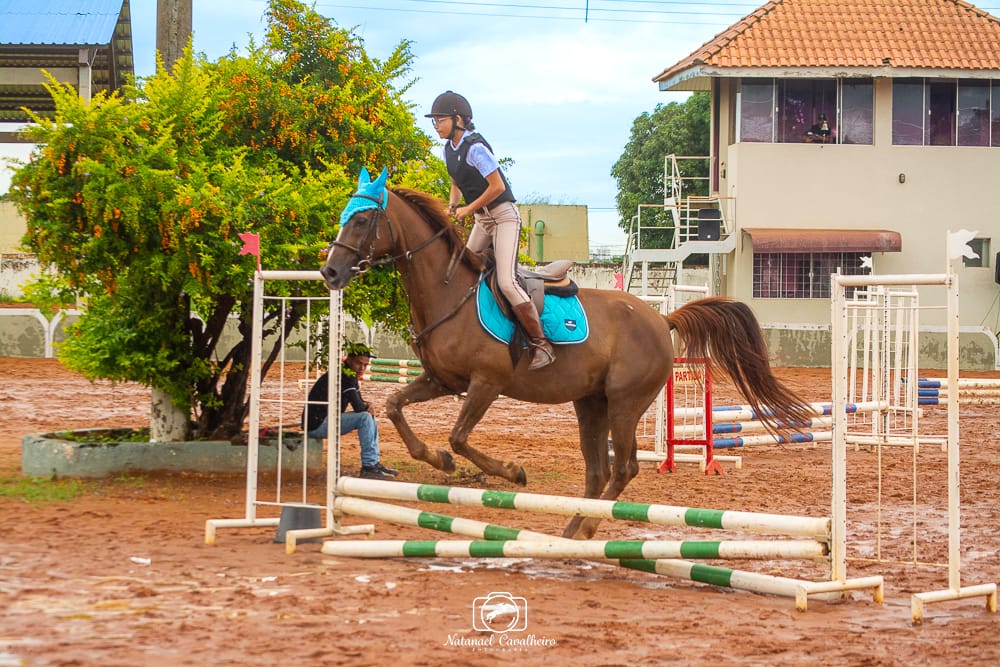 Yara Cart Salta na categoria 60 cm na Competição de Hipismo.