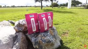 Figotonus para controlar as intoxicações po micotoxinas.