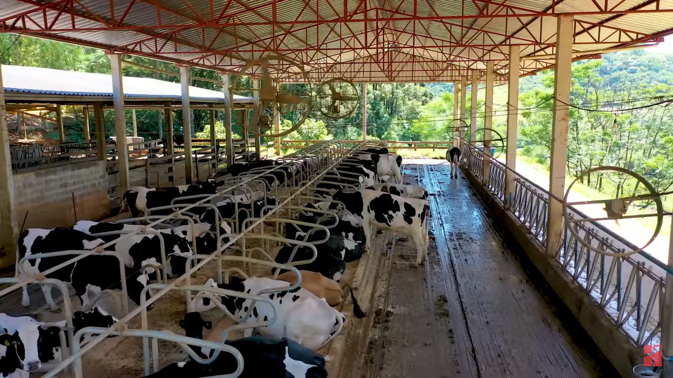 Frre Stall da Granja Graciolli
