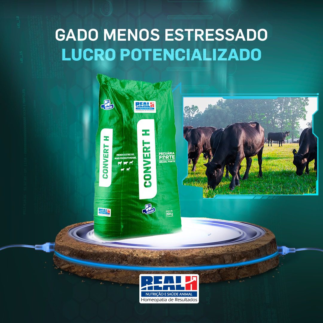 Controlando o Estresse no Período de Transição