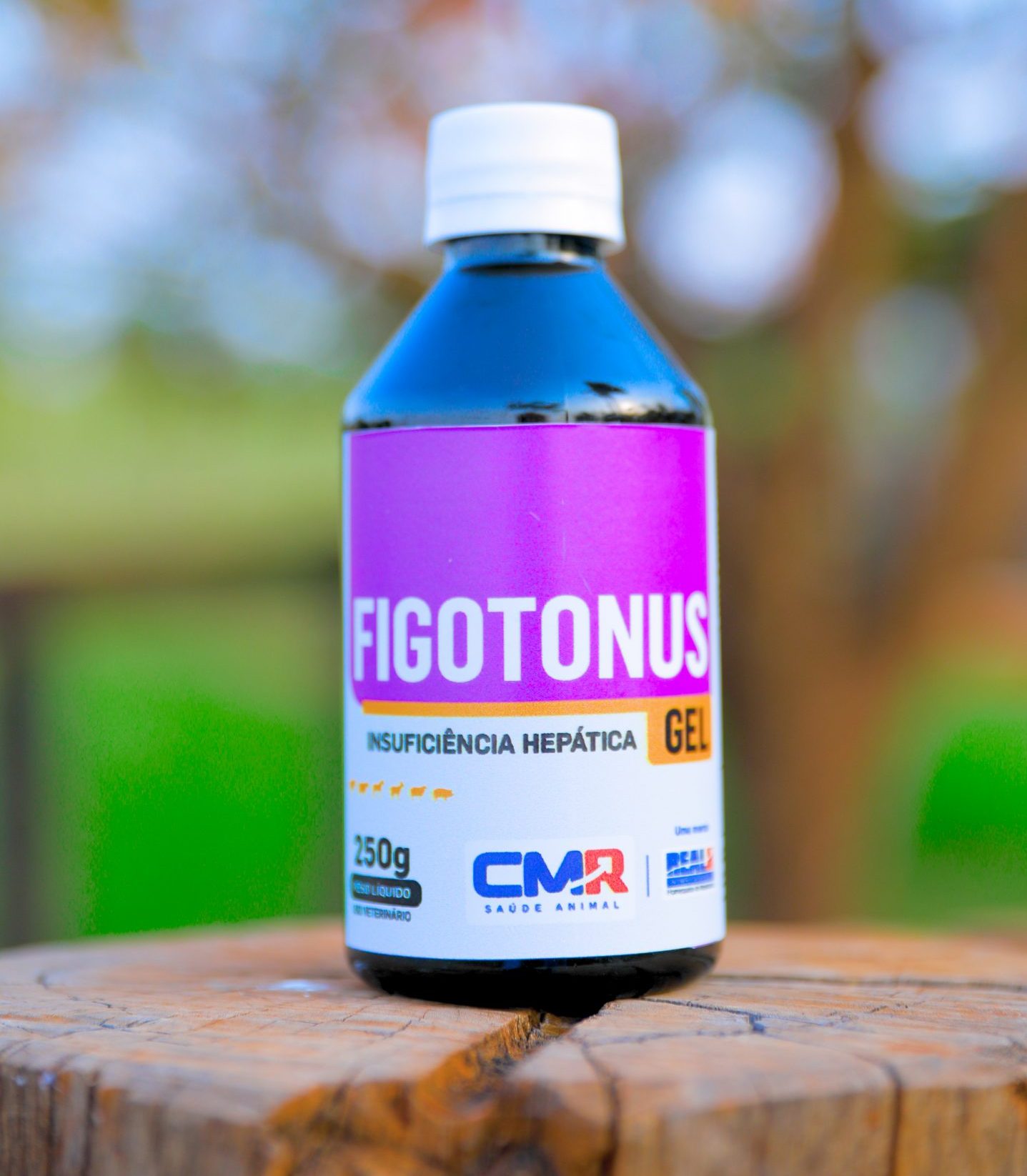 Figotonus Gel: Revolução no Tratamento e Prevenção da Cetose em Vacas Leiteiras