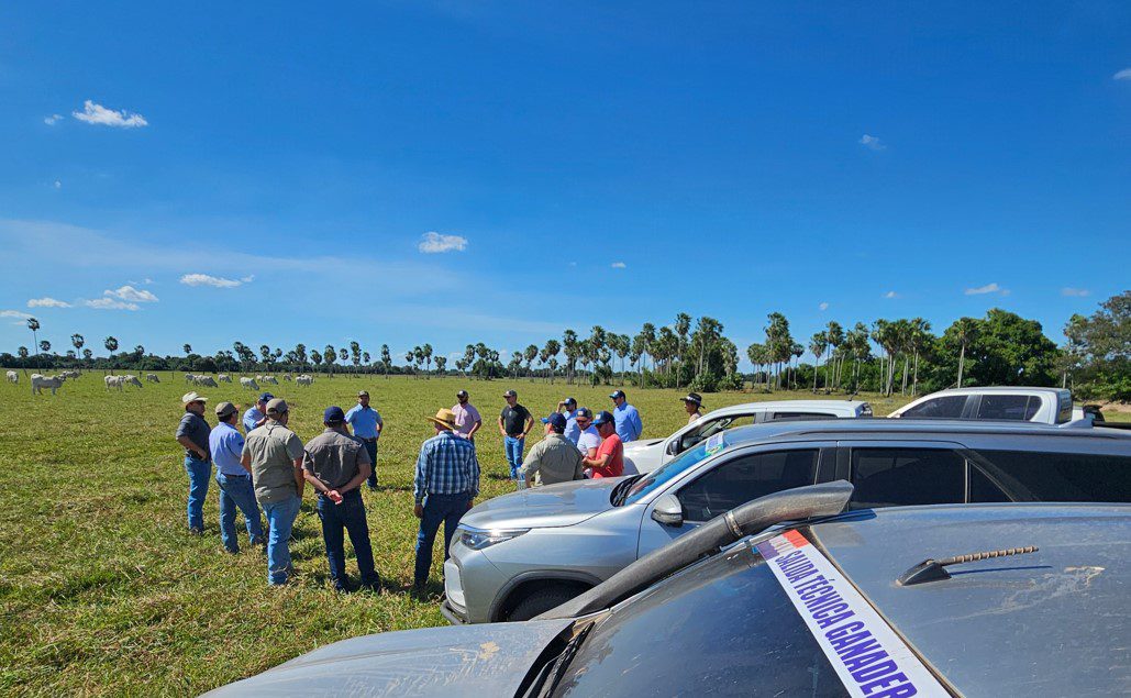 Pecuaristas Paraguaios Avaliam Tecnologias Real H no Pantanal