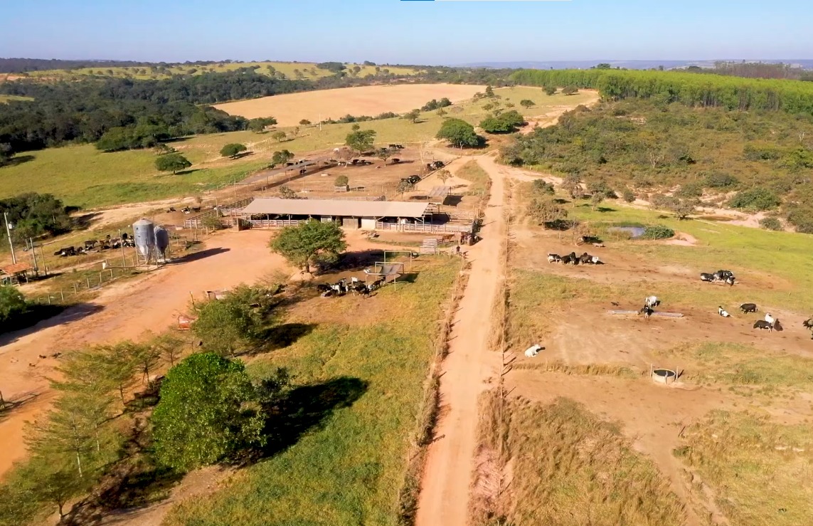 Fazenda Retiro Picão Supera Desafios com Tecnologia para Controle de Mastite