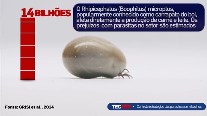 Um dos materiais apresentados durante o Integrha mostra os prejuízos causados pelos carrapatos na pecuária.