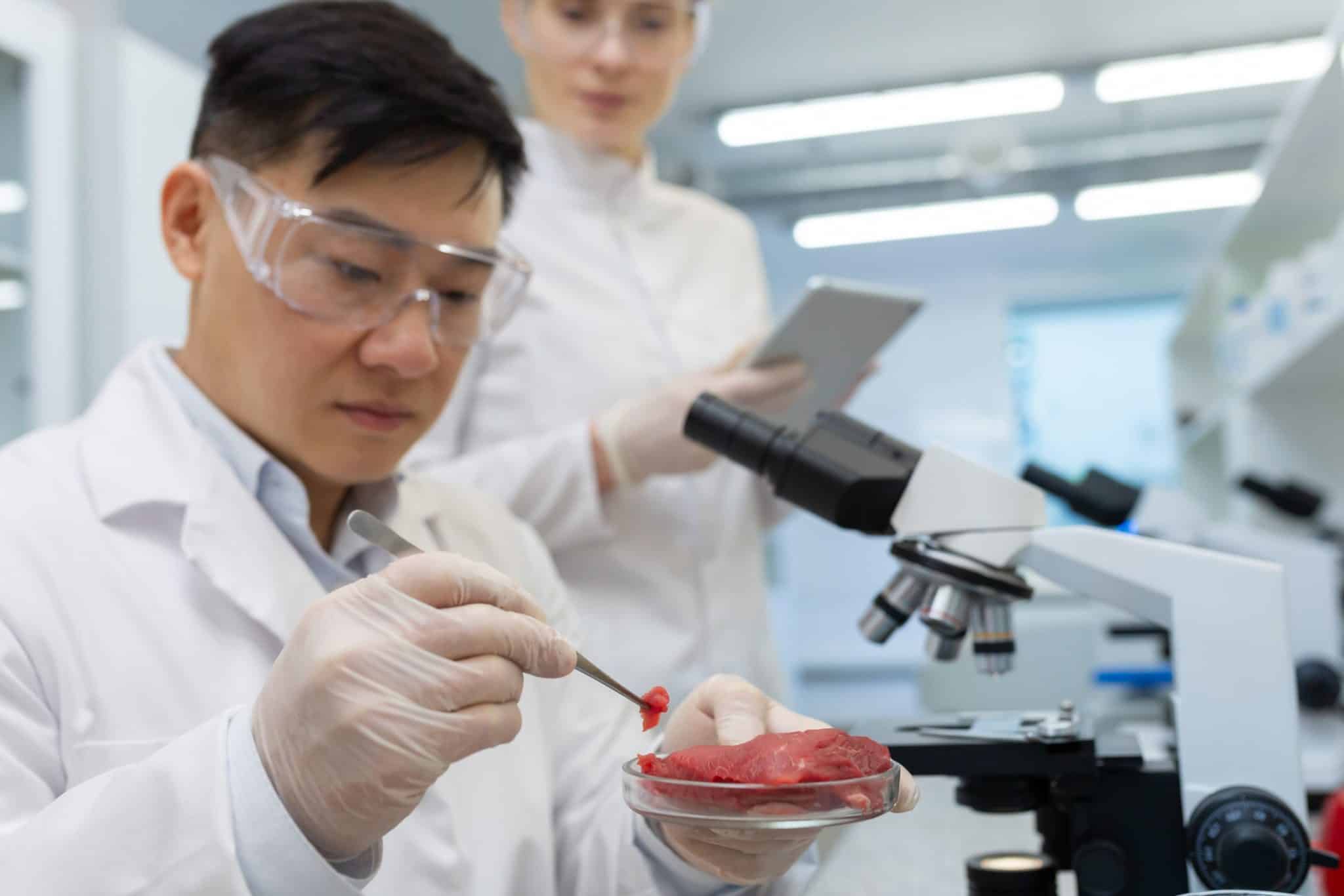 Alimento Seguro: Barreiras Comerciais e o Desafio dos Resíduos na Produção Pecuária