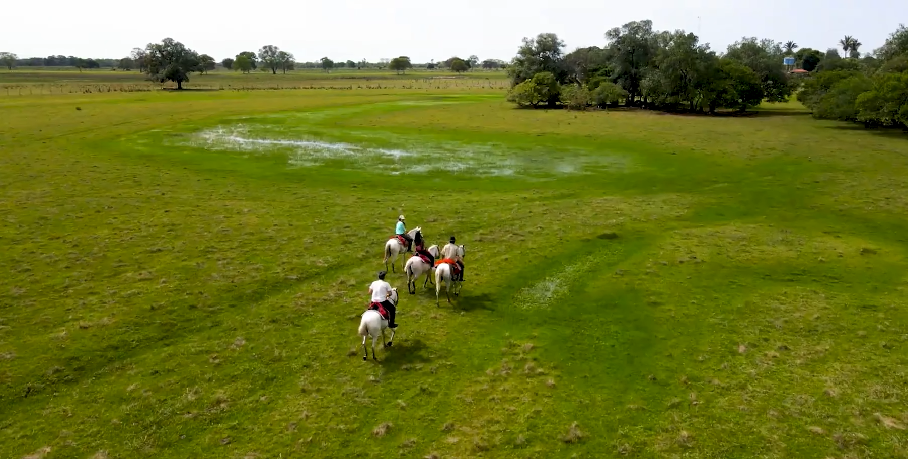 Visitantes cavalgam pela Fazenda Baía das Pedras no Pantanl da Nhecolândia.