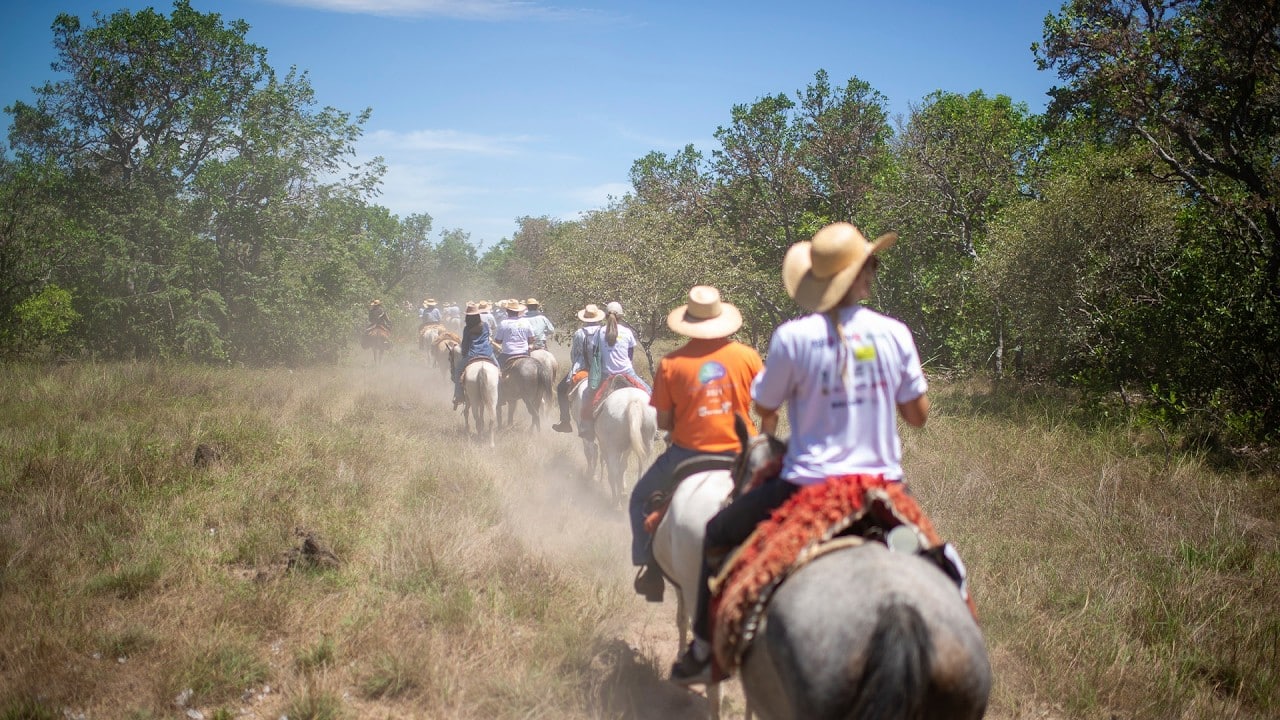 Grupo Real Convida Você para Vivenciar a Cavalgada no Pantanal em 360º