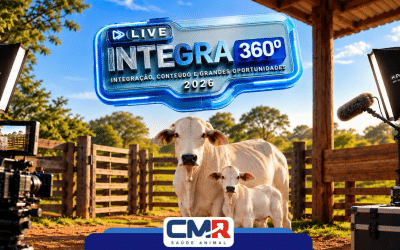 Equipe CMR Realiza Live Integra 360º Focada em Capacitação, Mercado e Inovação